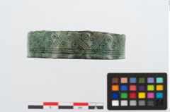 Foto von Bronzebandarmreif (NHMW-PRAE-024584)